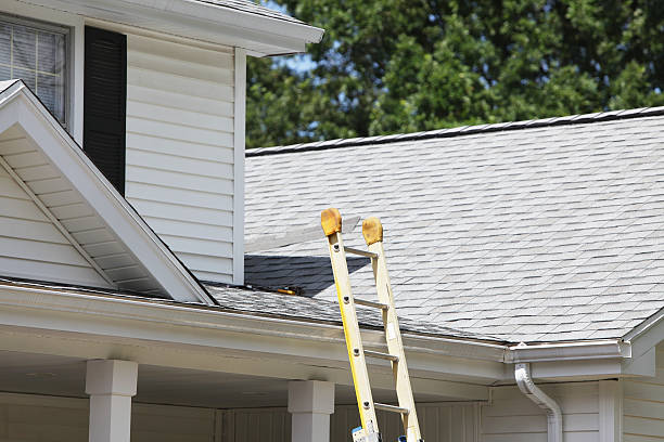 Best Engineered Wood Siding  in Cajahs Mountain, NC