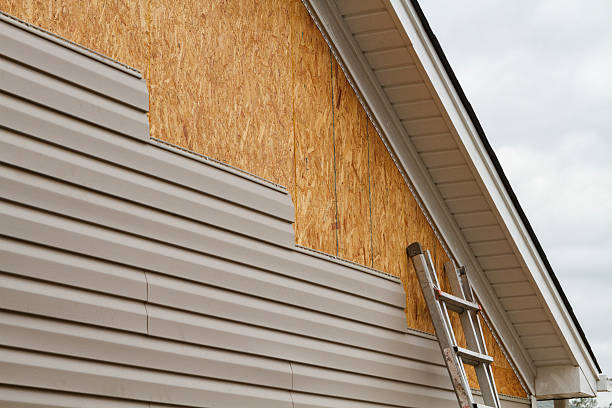 Best Custom Siding Design  in Cajahs Mountain, NC